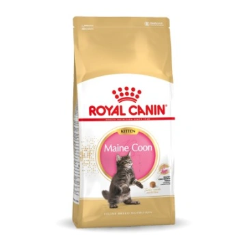 Royal Canin Breed Feline Kitten Maine Coon 10 kg 