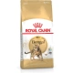 Royal Canin FBN Bengal Adult 10kg