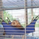 Ferplast FURET TOWER