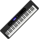 Casio CT-S400