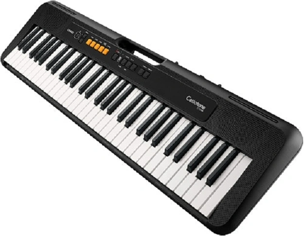 Casio CT-S100 