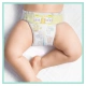 Pampers Premium Care  size 4 (174 ks) 9-14 kg