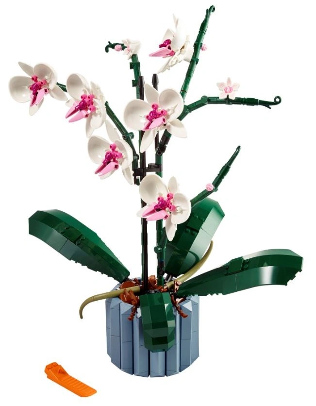 LEGO® Icons 10311 Orchidej