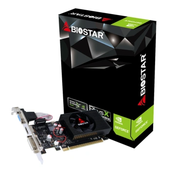 Biostar NVIDIA GeForce GT 730 4 GB GDDR3