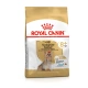 Royal Canin granule pro dospělé psy plemene jorkšírský teriér starší 8 let 3 kg