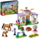 LEGO® Friends 41746 Výcvik koní