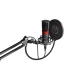 Microphone ENDORFY Streaming (EY1B004) black