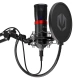 Microphone ENDORFY Streaming (EY1B004) black