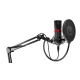 Microphone ENDORFY Streaming (EY1B004) black