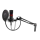 Microphone ENDORFY Streaming (EY1B004) black