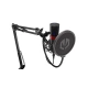 Microphone ENDORFY Streaming (EY1B004) black