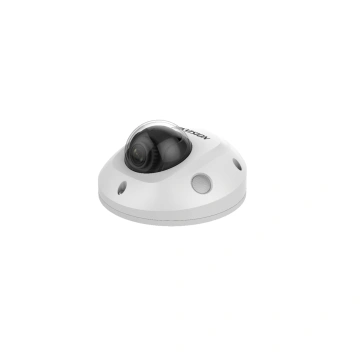 Hikvision DS-2CD2543G2-IWS