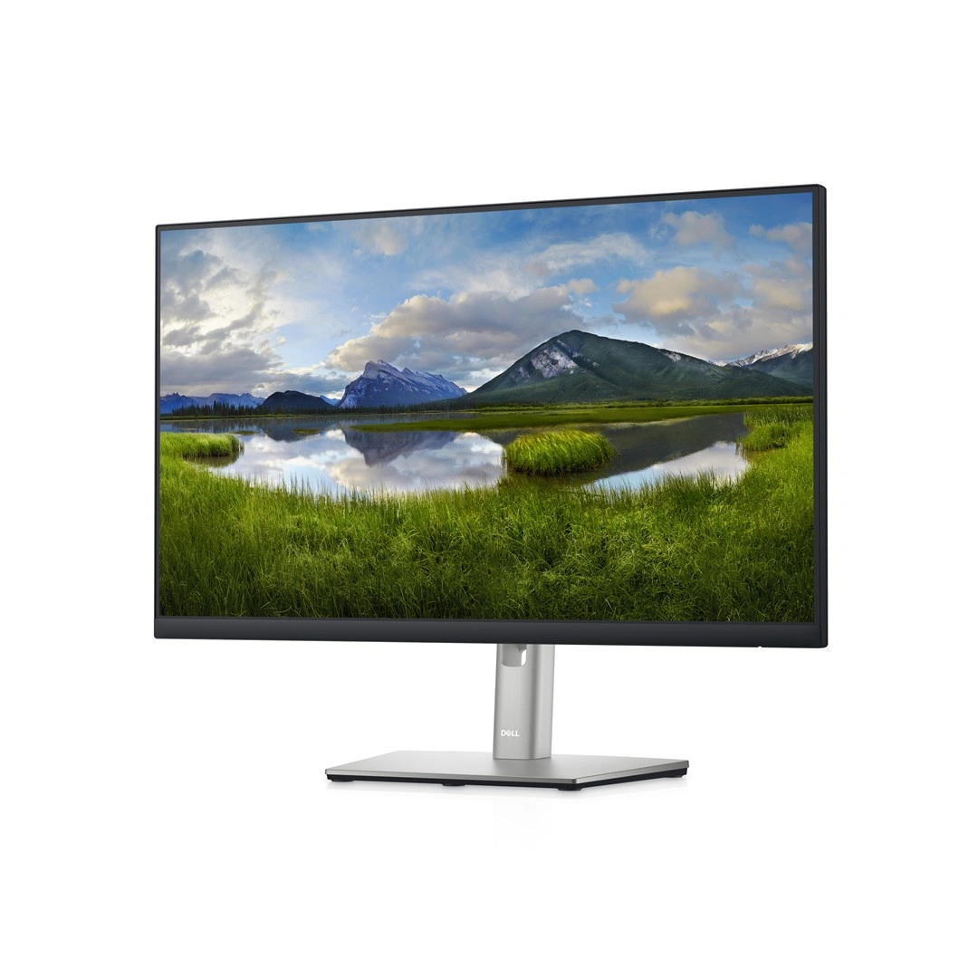 DELL LED 24â P2422HE MONITOR