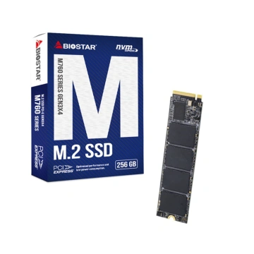 SSD Biostar M760 256GB