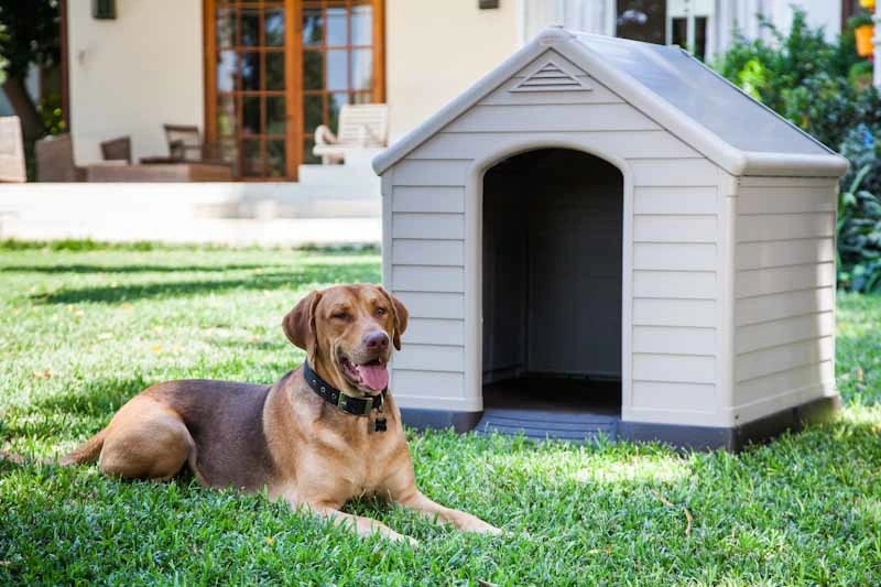 Curver Dog House šedá