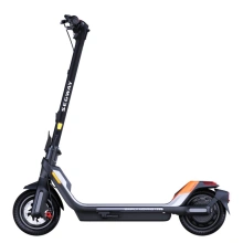 Ninebot by Segway P65E