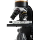 Celestron Tetraview