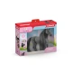 Schleich 42581 Klisna plemene Criollo Definitivo s česací hřívou