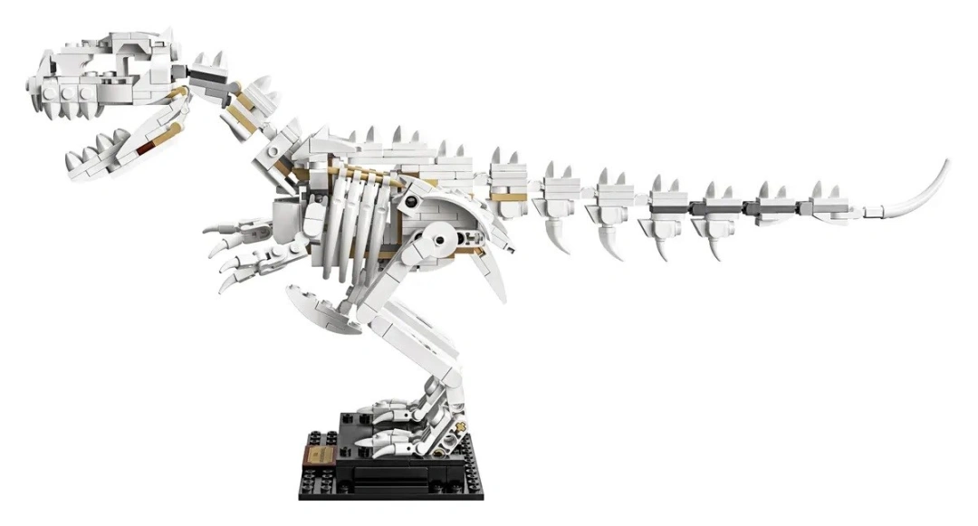 LEGO IDEAS 21320 Zkameněliny dinosaurů