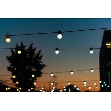 Twinkly Festoon (Gold & Silver)