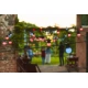 Twinkly Festoon