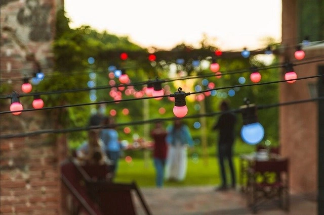 Twinkly Festoon