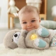 Fisher-Price Zklidňující vydra s melodiemi FXC66