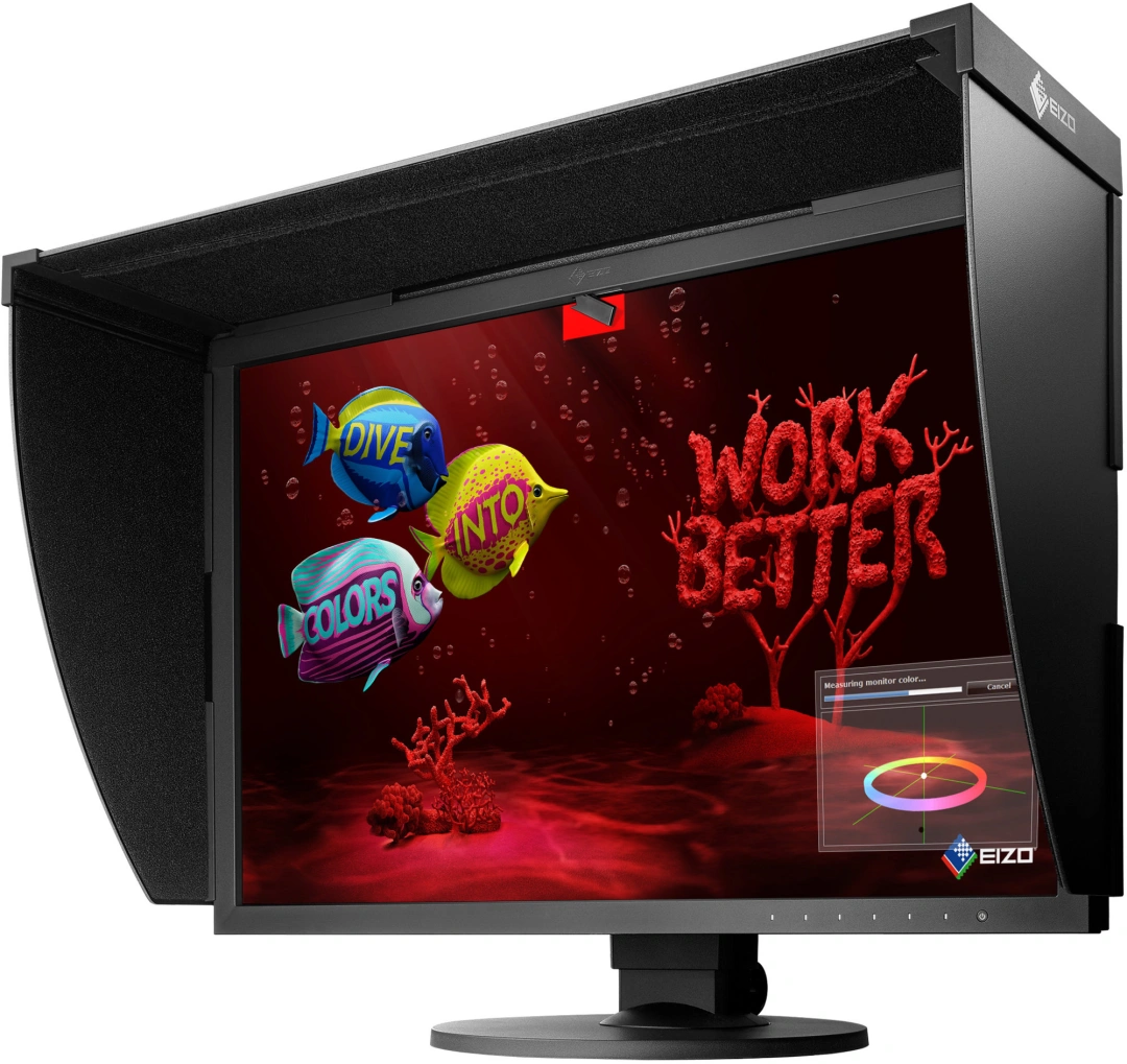 EIZO ColorEdge CG2420 - 24" LED monitor