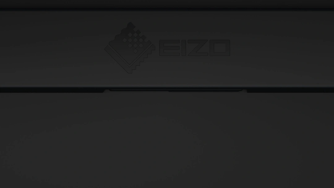 EIZO ColorEdge CG2420 - 24" LED monitor