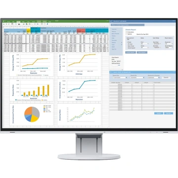 EIZO EV2460-WT - 24