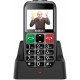 Evolveo EasyPhone EP-850-EBS, Silver