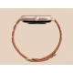 Amazfit GTS 4/Autumn Brown/Sport Band/Brown