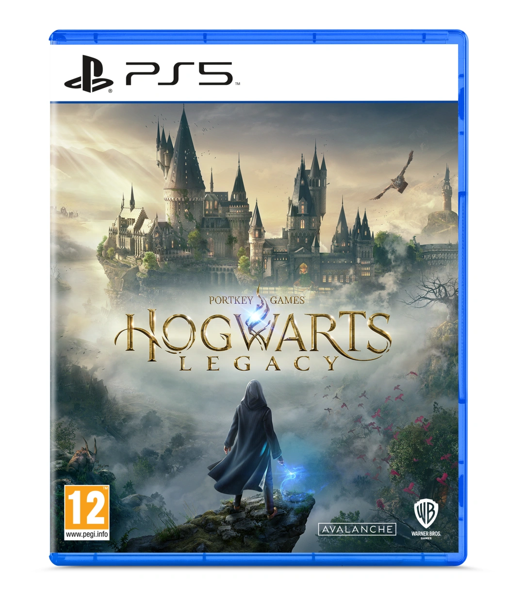 Hogwarts Legacy (PS5)