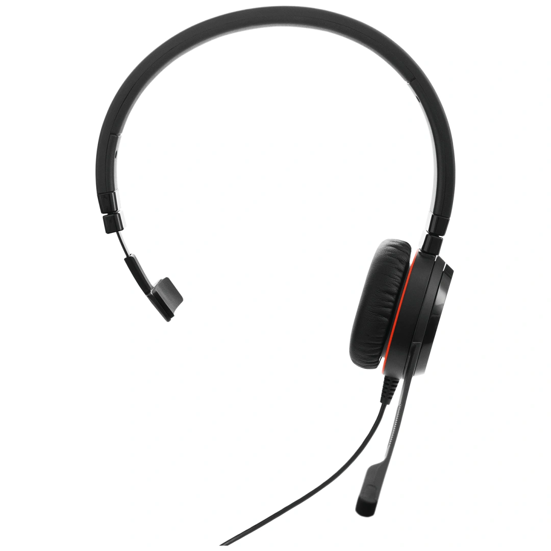 Jabra Evolve 20/Mono/USB/Drát/Černá