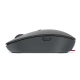 Lenovo Go USB-C Wireless Mouse