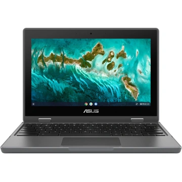 ASUS Chromebook Flip CR1 (CR1100), šedá