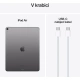 Apple iPad Air Wi-Fi + Cellular, 13