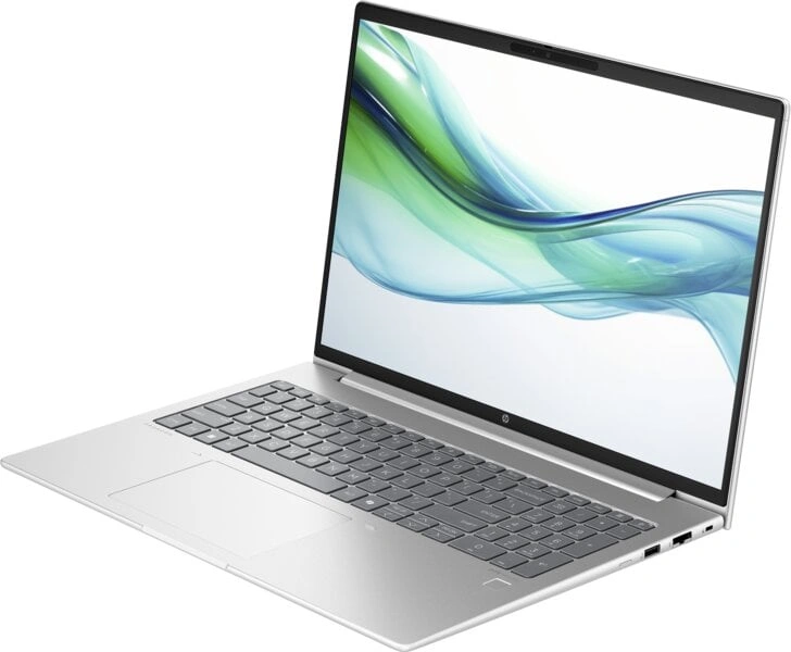 HP ProBook 460 G11, silver (A37ZHET)