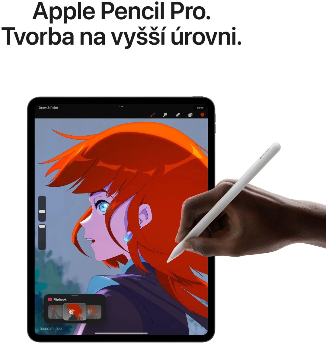 Apple iPad Pro Wi-Fi, 13" černý