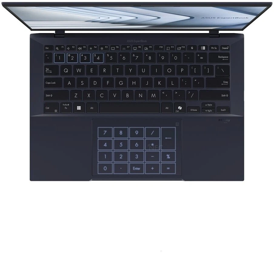 ASUS ExpertBook B9 OLED (B9403, Series 1 Intel), černá