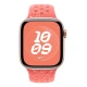 Apple Watch Acc/42/Magic Ember Nike Sport Band - S/M