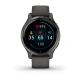 Garmin Venu 2S, Slate/Black 