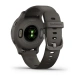 Garmin Venu 2S, Slate/Black 