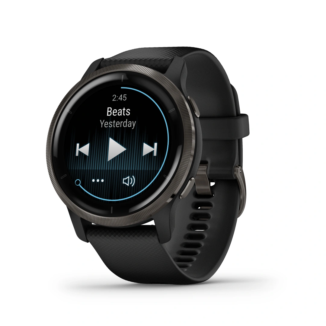 Garmin Venu 2, Slate/Black