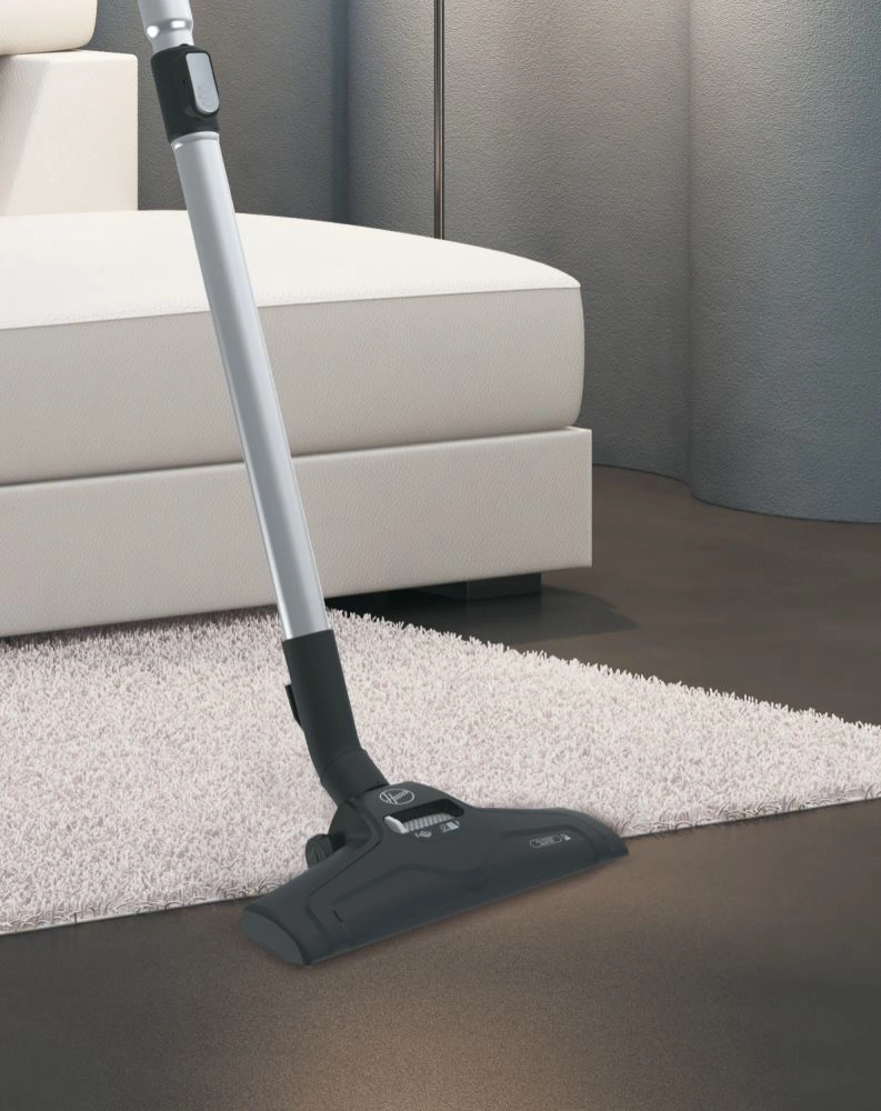 Hoover H-POWER 300 HP320PET 011