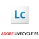 Adobe LiveCycle ES 9.1