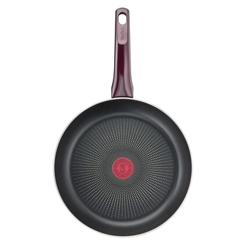 Pánev Tefal Resist Intense D5220483, 24 cm