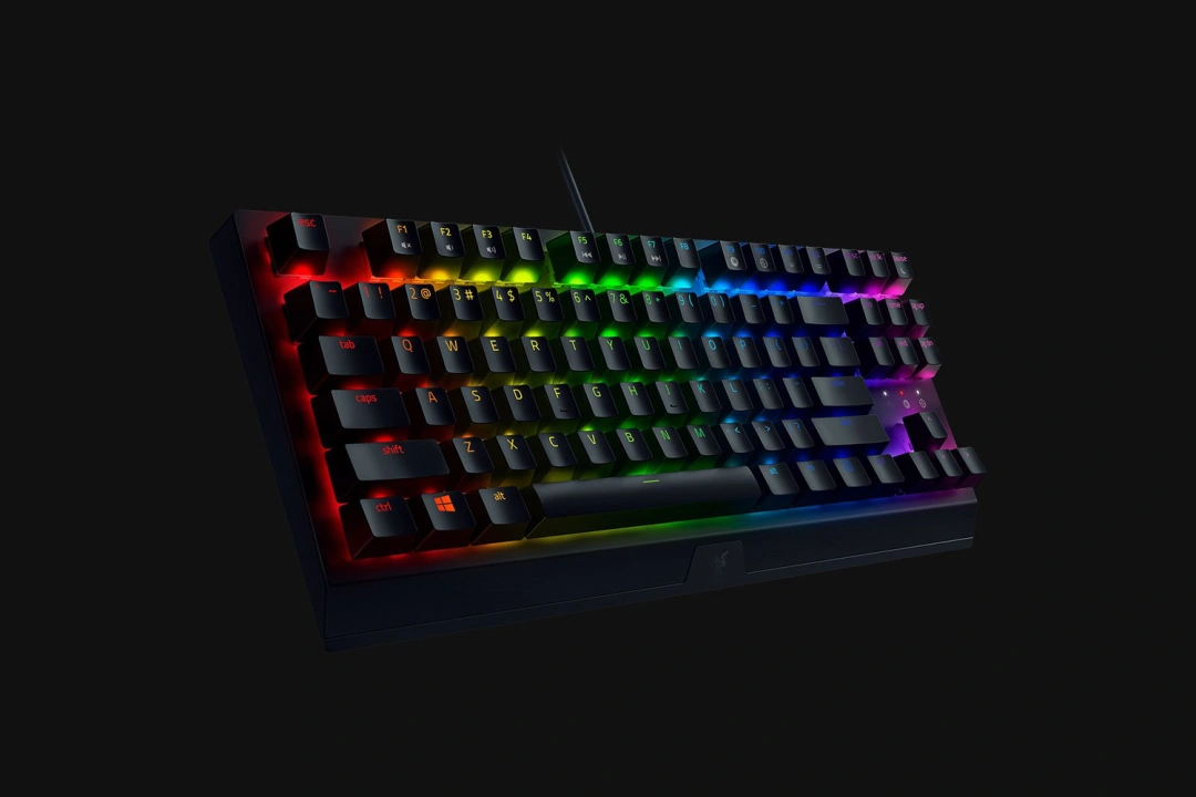 Razer Blackwidow V3 Tenkeyless