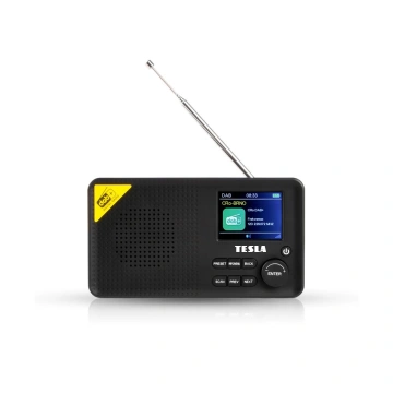 Tesla Sound DAB65