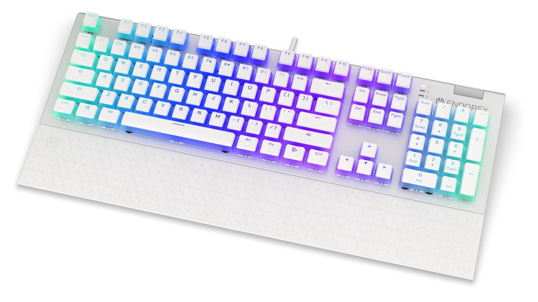 ENDORFY Omnis Pudding Onyx Kailh Blue, RGB podsvícení, US layout (EY5A034), bílá